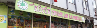 Özel Küçük Çınarlar Anaokulu